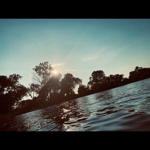 Meet your Posher, Sylvia